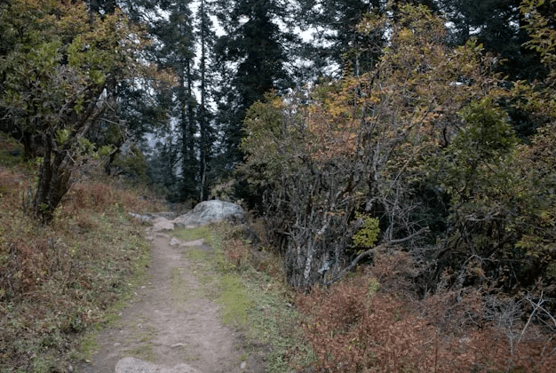Death on Camas Prairie